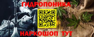 спиды Кингисепп