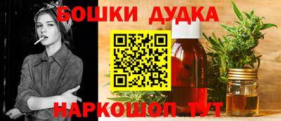 спиды Кингисепп