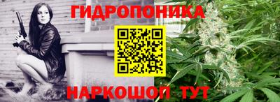 спиды Кингисепп