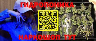 мдма Кимры