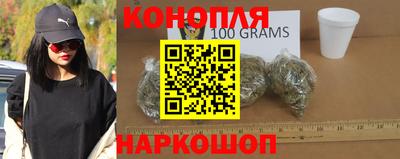 спиды Кингисепп