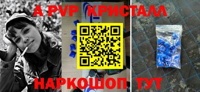 спиды Кингисепп
