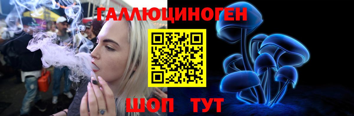 Галлюциногенные грибы MAGIC MUSHROOMS  Псилоцибиновые грибы мухоморы  Котовск  Вход с VPN 